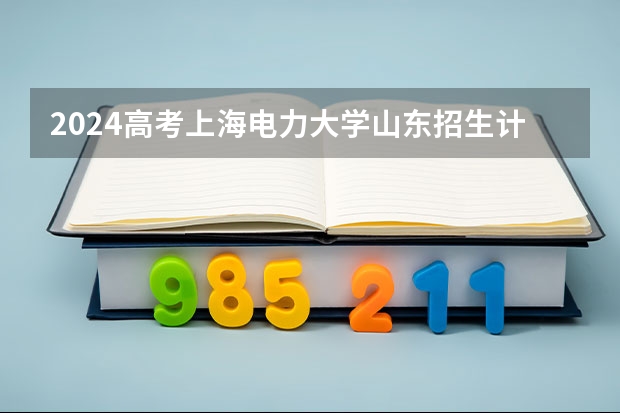 2024高考上海电力大学山东招生计划 招多少人