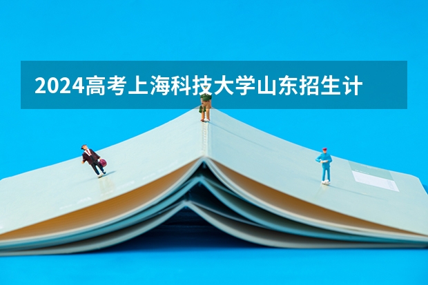 2024高考上海科技大学山东招生计划 招多少人
