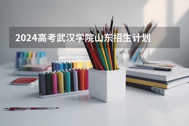 2024高考武汉学院山东招生计划 招多少人