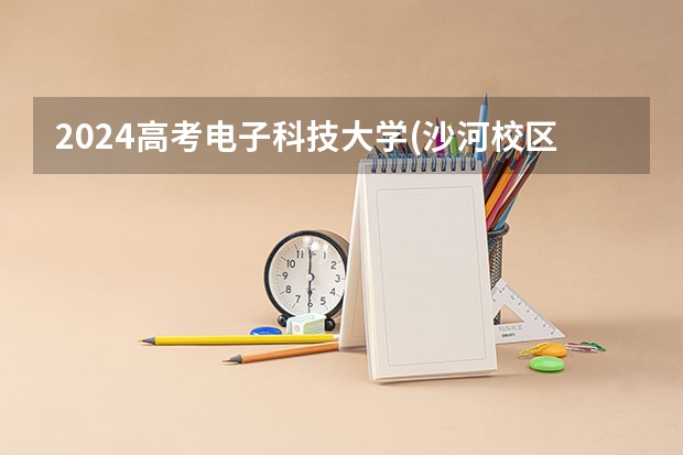 2024高考电子科技大学(沙河校区)山东招生计划 招多少人