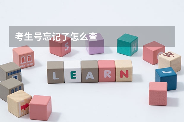 考生号忘记了怎么查