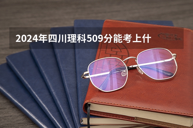 2024年四川理科509分能考上什么大学?