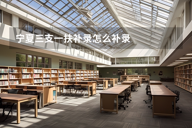 宁夏三支一扶补录怎么补录