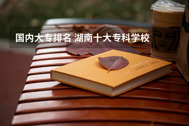 国内大专排名 湖南十大专科学校