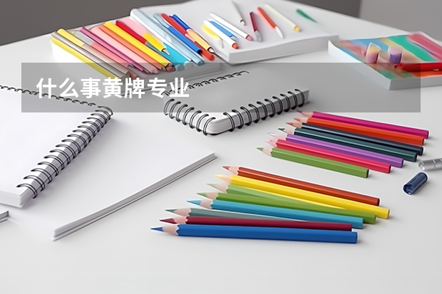 什么事黄牌专业