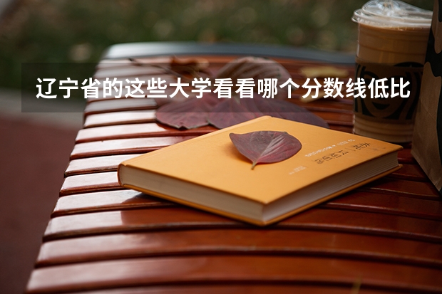 辽宁省的这些大学看看哪个分数线低比较好考。