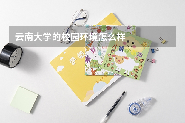 云南大学的校园环境怎么样