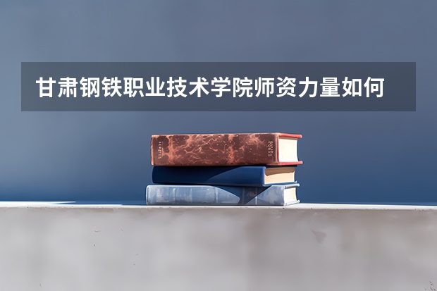 甘肃钢铁职业技术学院师资力量如何 就业状况怎么样