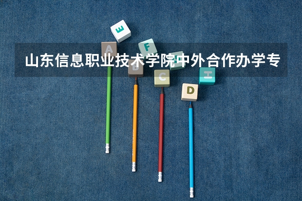 山东信息职业技术学院中外合作办学专业有哪些？