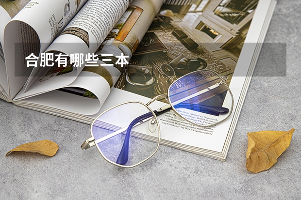 合肥有哪些三本