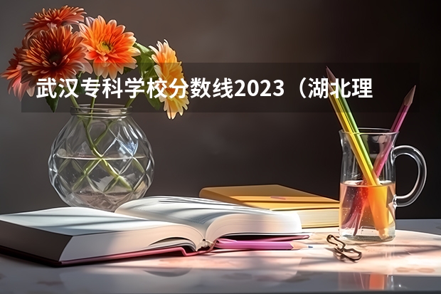 武汉专科学校分数线2023（湖北理工学院专科分数线）