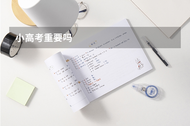 小高考重要吗