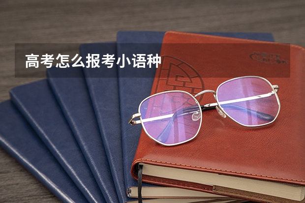 高考怎么报考小语种