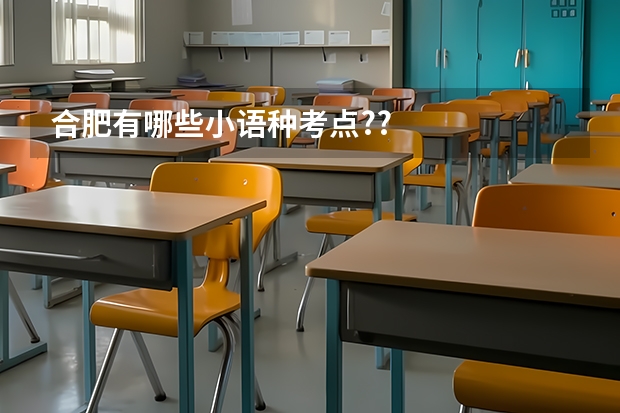合肥有哪些小语种考点??