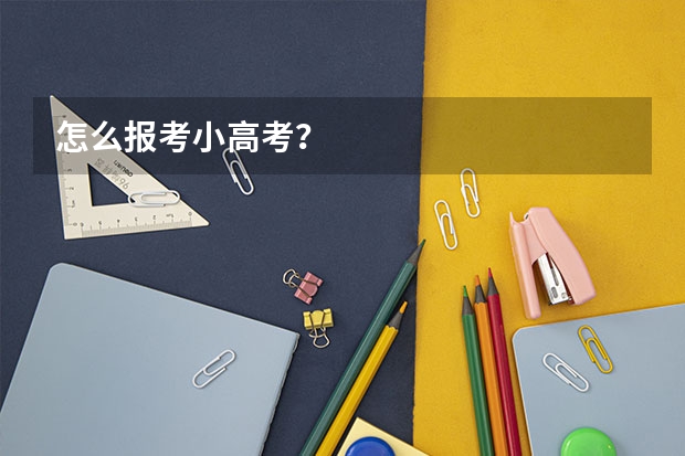 怎么报考小高考？