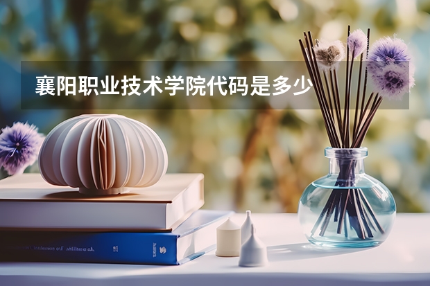 襄阳职业技术学院代码是多少