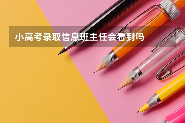 小高考录取信息班主任会看到吗